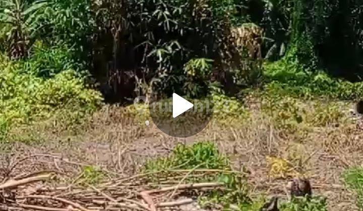 Tanah Sewa Bagus Siap Bangun Villa Zona Kuning  2