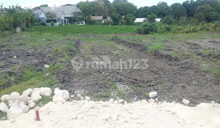 Yellow Zone Lease Land with Rice Field View, Tumbak Bayuh