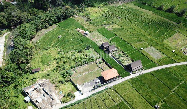 LAND FOR RENT IN TABANAN KABA KABA AREA 2