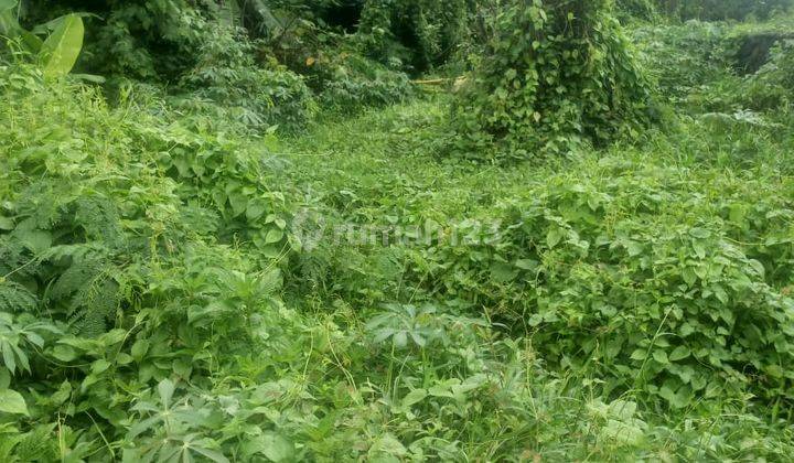 Tanah Murah Cocok Vila Pribadi Dekat Pantai Keramas 2