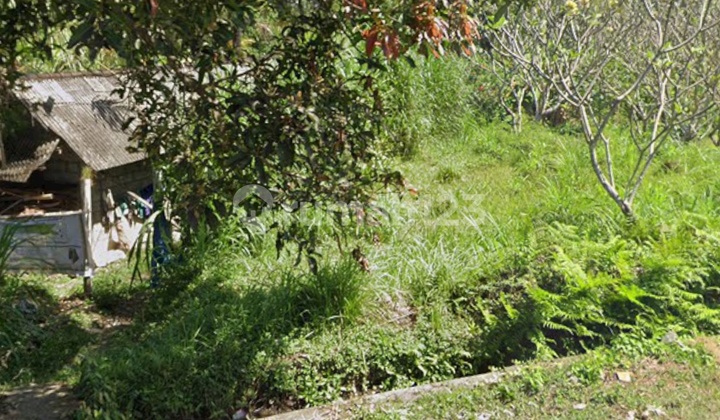 Yellow Zone Land with Rice Field View, Main Road, Ready to Build