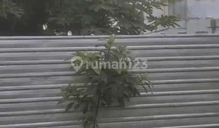 Dijual Tanah di Area Denpasar Jl Pulau Buru Bagus Strategis Dijual Tanah di Area Denpasar Jl Pulau Buru Bagus Strategis