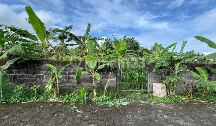 Tanah Bagus Central Ubud 3 Are Harga 2,3 M View Keren Tanah Bagus Central Ubud 3 Are Harga 2,3 M View Keren