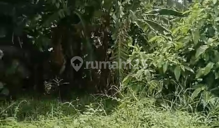 Nice View Lease Land Ready to Build Affordable Price Nice View Lease Land Ready to Build Affordable Price