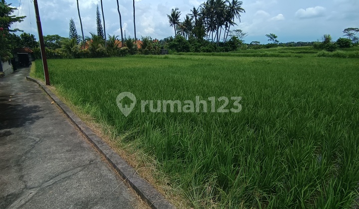 Tanah View Sawah Gunung Zonakuning Lingkunganvilla Ubud