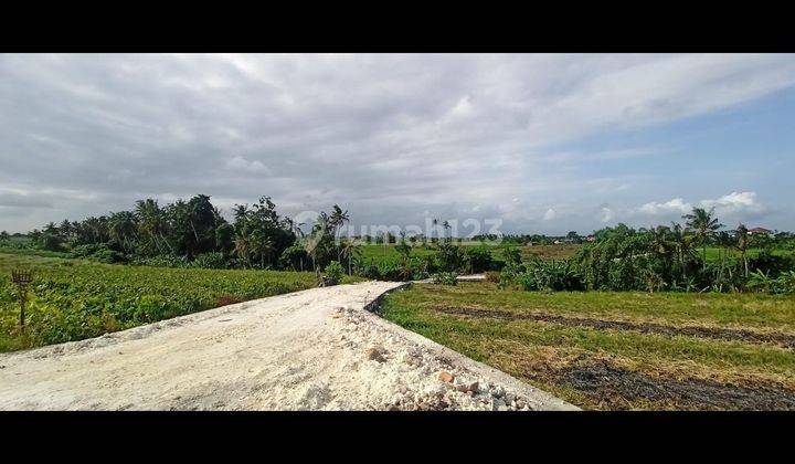 TANAH UKURAN KECIL DI MUNGGU PERERENAN DEKAT PANTAI LIMA 1