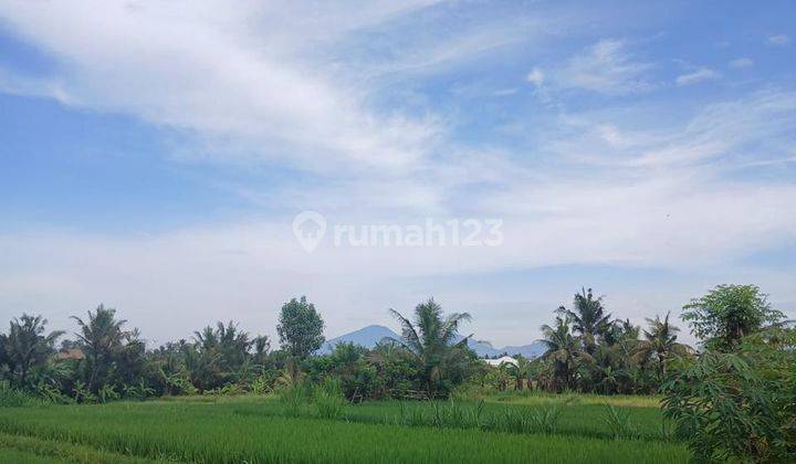 Tanah View Sawah Gunung Dekat Central Ubud Cocok Vila Rental 1