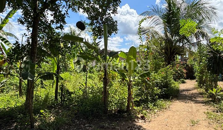Affordable Leasehold Land Ready to Build Near Central Ubud Affordable Leasehold Land Ready to Build Near Central Ubud