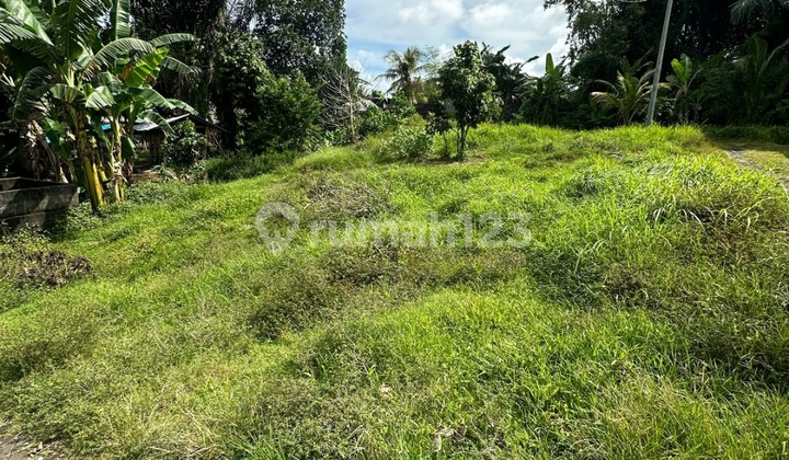 Tanah View Sawah Cocok Untuk Vila Rental 