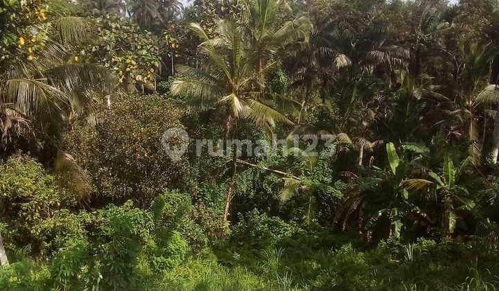 Tanah Cocok Resort Hotel View Keren Harga Murah 