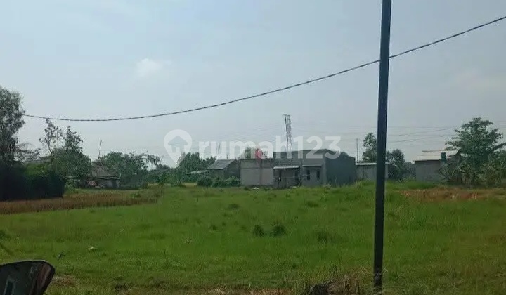 Tanah Shm Murah Kavling Ciasem Girang Dekat Margamulya Sukamandi Tanah Shm Murah Kavling Ciasem Girang Dekat Margamulya Sukamandi