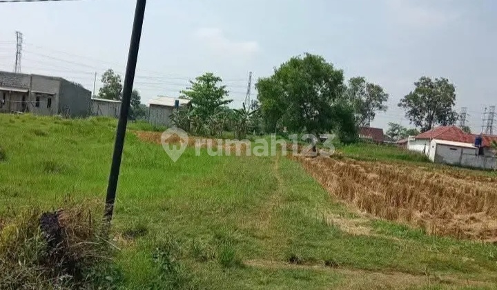 Tanah Shm Murah Kavling Ciasem Girang Dekat Margamulya Sukamandi Tanah Shm Murah Kavling Ciasem Girang Dekat Margamulya Sukamandi