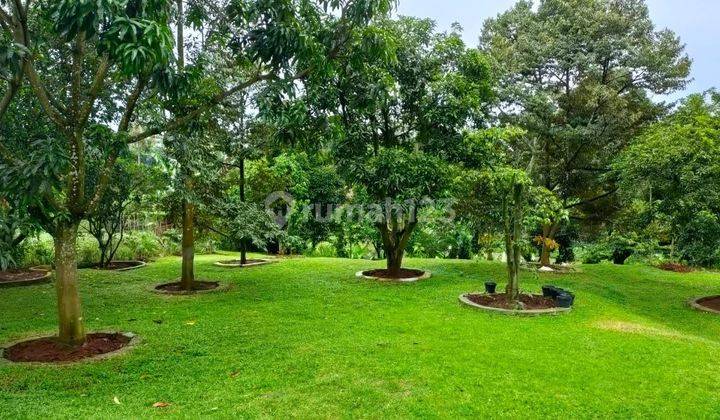 Rumah Villa Mewah Kebun Buah Bogor SHM Bojonggede Dekat Cibinong Sentul 2