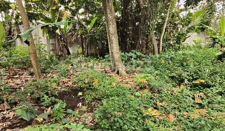 Gudang Tua Tanah 4000m SHM Pinggir Jalan Raya Sumedang Cirebon Bandung 2