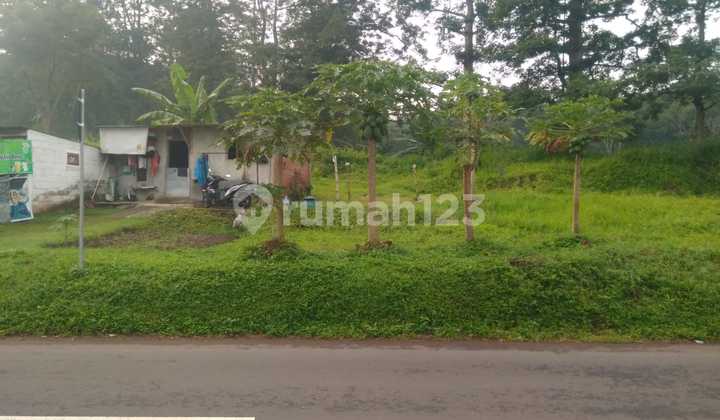 land for sale in Nongkojajar, almost flat condition land for sale in Nongkojajar, almost flat condition