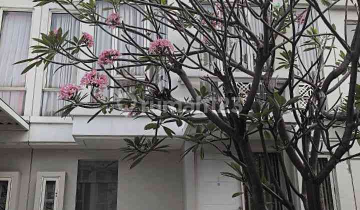 Rumah Grand Pakuwon Furnished 1