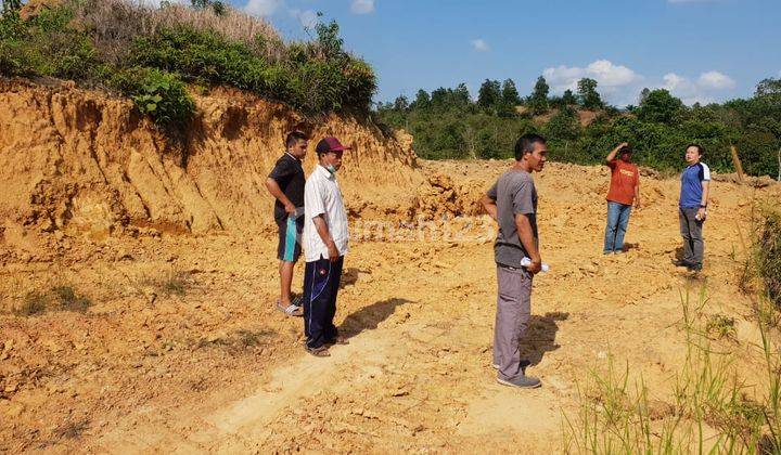 Tanah di IKN  di Sepaku, Penajam Passer Utara Kalimantan 2