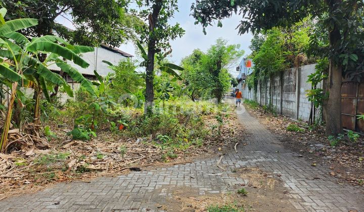 Tanah Murah Pinggir Jalan Di Sepatan Timur Kedaung Barat Tangerang  1