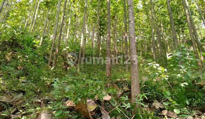 Dijual Tanah Di Pelabuhan Ratu Sukabumi