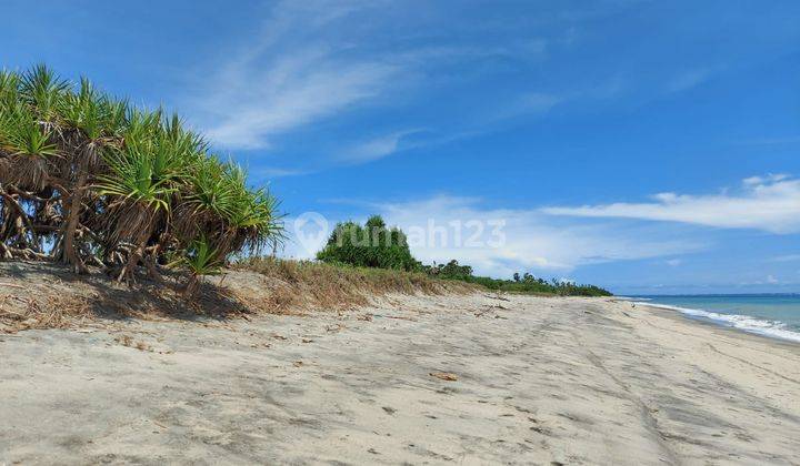 Lahan pesisir pantai location Wula beach, Sumba Timur