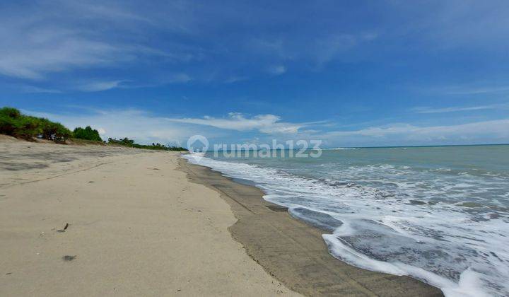 Lahan pesisir pantai location Wula beach, Sumba Timur 2