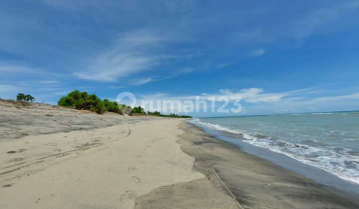 Lahan pesisir pantai location Wula beach, Sumba Timur 3