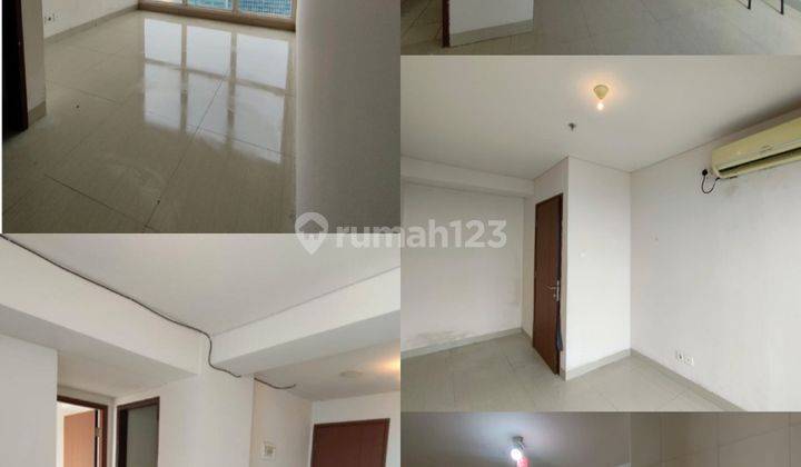 Disewakan Apartemen callia 1 kamar HARGA MURAH 1