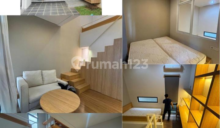Disewakan Rumah Fleekhauz Bsd Harga Murah 2 Kamar Tidur Disewakan Rumah Fleekhauz Bsd Harga Murah 2 Kamar Tidur