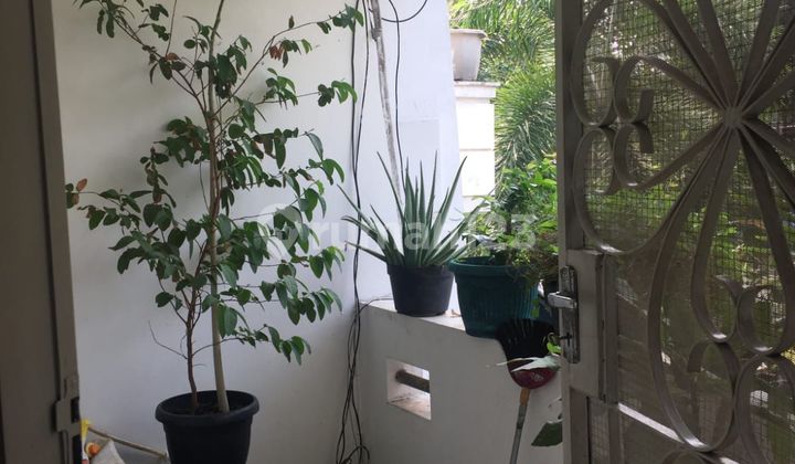 Rumah Bagus di Tanjung Duren Utara, Jakarta Barat