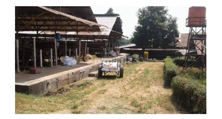 Dijual Tanah Ex Lahan Peternakan Ayam, Cimuning, Bekasi 2