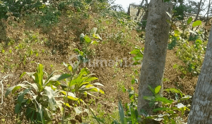 Tanah Strategis Cocok Untuk Cluster Di Prambanan AT16693