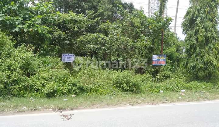 Tanah Jual Dekat Bandara Konawe Tanah Jual Dekat Bandara Konawe