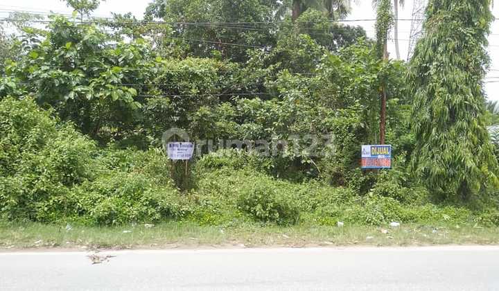 Tanah Jual Dekat Bandara Konawe Tanah Jual Dekat Bandara Konawe