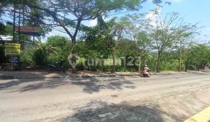 DijuTanah di Muncul Gunung Sindur seluas 6000 m2