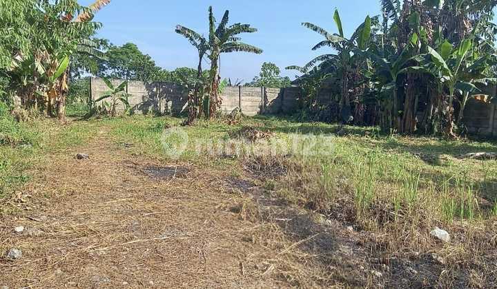 For sale, 8,800 m2 land in Pabuaran, Gunung Sindur, fully fenced.