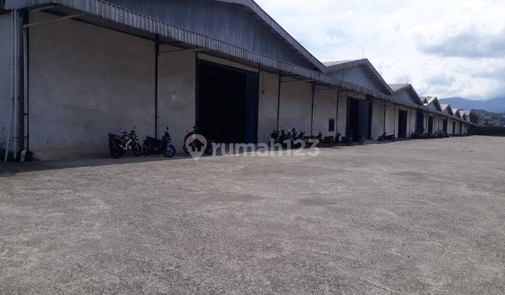 Pabrik di Jalan Veteran Teluk Pinang, Bogor 50.000 m Bagus SHM 8
