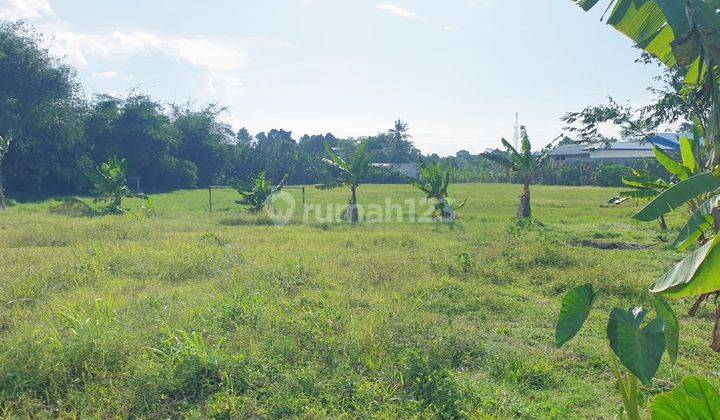 Tanah di Gunung Sindur, Bogor SHM 1