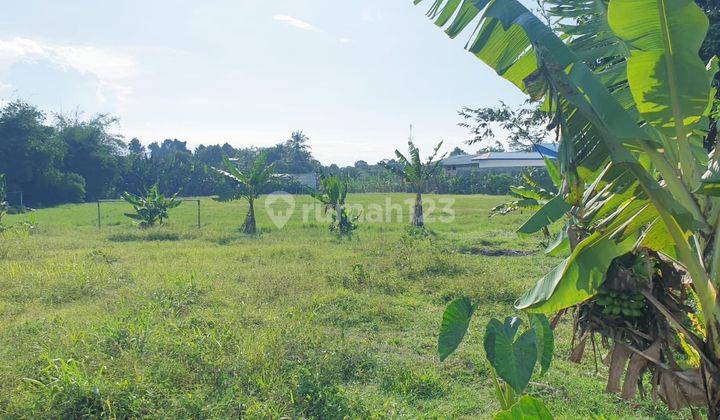 Tanah di Gunung Sindur, Bogor SHM 2