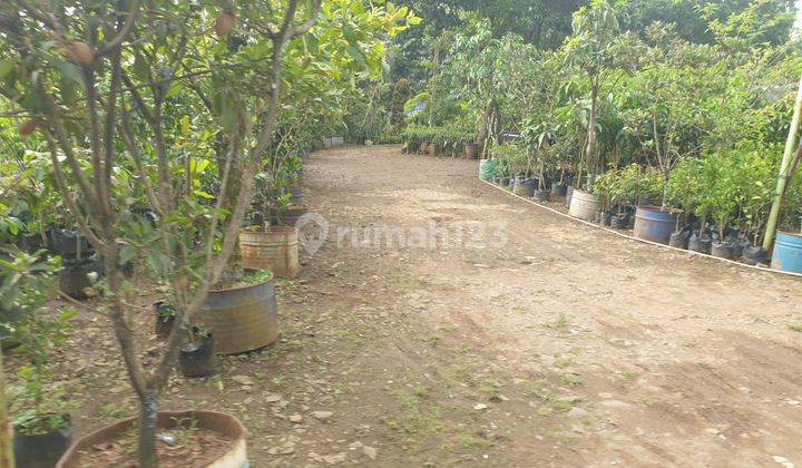 Tanah 2 Ha Surat SHM di Curug Gunung Sindur Bogor 2