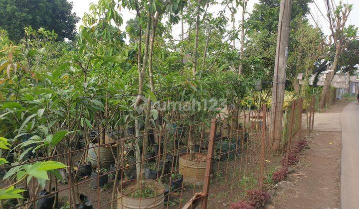 Tanah 2 Ha Surat SHM di Curug Gunung Sindur Bogor 2