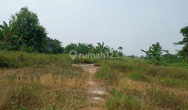 Dijual Tanah SHM 9,5 Ha di Legok Tangerang andy  1