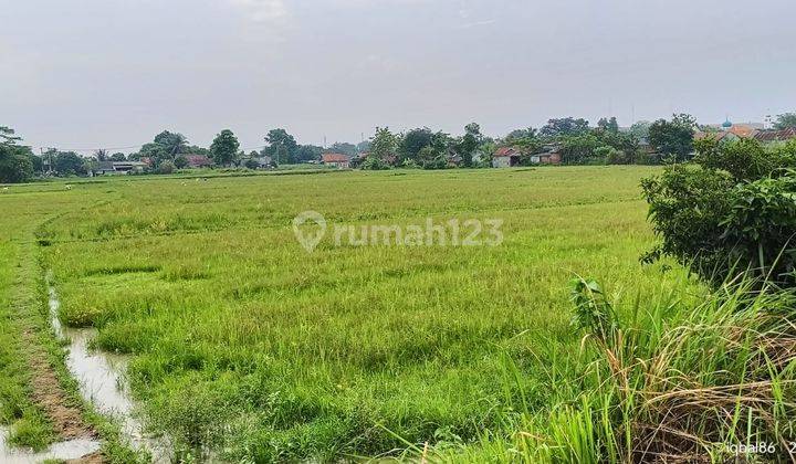 Dijual Tanah Seluas 2,3 Hektar di Cibarusah Kabupaten Bekasi Dyt 2