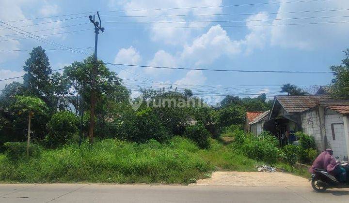 Dijual tanah Di pinggir jalan raya pemuda di gunubg sindur 6000 m2 1