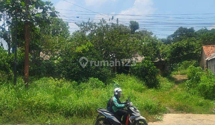 Dijual tanah Di pinggir jalan raya pemuda di gunubg sindur 6000 m2 2