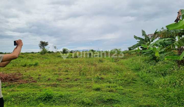 Land for Sale in Tigaraksa, Suitable for Housing