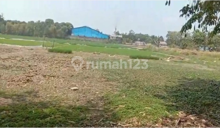 Dijual Tanah di Gandoang cileungsi tanah bentuk kantong Dijual Tanah di Gandoang cileungsi tanah bentuk kantong