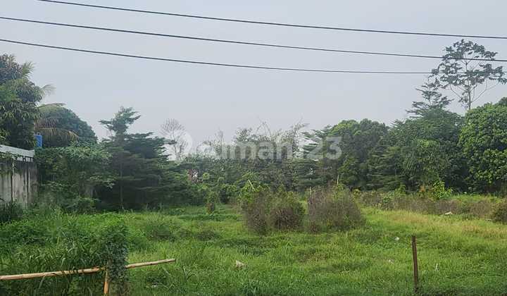 DIjual Tanah DI Gunung Sindur di jalan Pemuda dipinggir jalan Raya seluas 8400 m2 (isd)