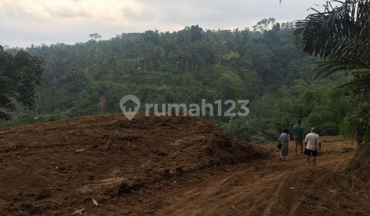 DiJual Tanah di Ubud Bali Seluas 38 Are lokasi sangat Strategis DiJual Tanah di Ubud Bali Seluas 38 Are lokasi sangat Strategis