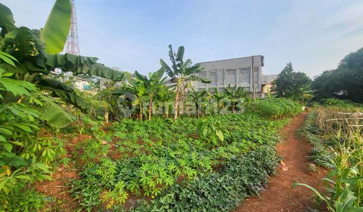 DiJual Tanah Seluas 13.000 m2 di Padurenan Gunung Sindur