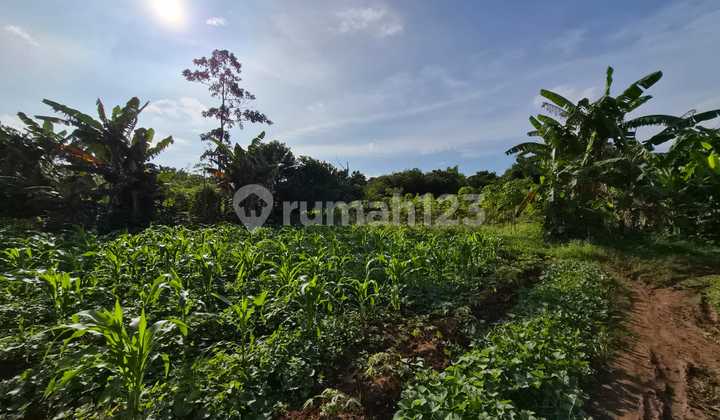 Dijual Tanah di Jatake Seluas 4 Hektar